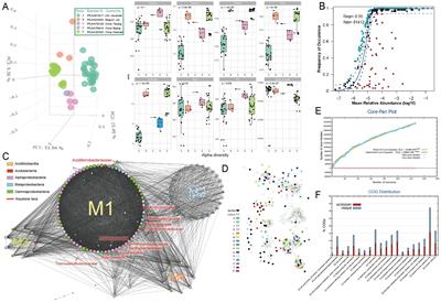 Genome-resolved metagenomics provides insights into the ecological roles of the keystone taxa in heavy-metal-contaminated soils